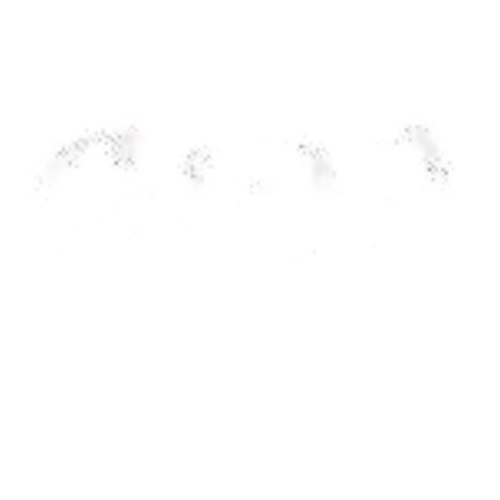 CWJ Universal Enterprises, Inc.